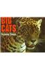Big Cats