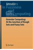 Granular Computing: At the Junction of Rough Sets and Fuzzy Sets