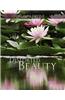 Distorted Beauty