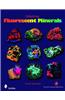 Collecting Fluorescent Minerals