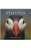 Puffins