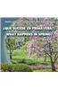 Que Sucede En Primavera?/What Happens in Spring?