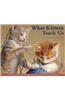 What Kittens Teach Us 2012 Calendar
