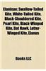 Elaninae: Swallow-Tailed Kite, White-Tailed Kite, Black-Shouldered Kite, Pearl Kite, Black-Winged Kite, Bat Hawk, Letter-Winged