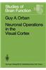 Neuronal Operations in the Visual Cortex