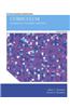 Curriculum: Foundations, Principles, and Issues with Enhanced Pearson Etext -- Access Card Package [With Access Code]