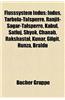 Flusssystem Indus: Indus, Tarbela-Talsperre, Ranjit-Sagar-Talsperre, Kabul, Satluj, Shyok, Chanab, Rakshastal, Kunar, Gilgit, Hunza, Bral