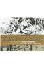 Tarzan: The Complete Russ Manning Newspaper Strips, Volume 2, 1969-1971