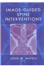 Image-Guided Spine Interventions