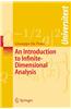 Introduction to Infinite-Dimensional Analysis