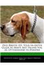 Dog Breeds 101: Your In-Depth Guide to Man's Best Friend Vol. 22, Otterhound to Pointer
