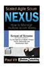 Scaled Agile Scrum: Nexus & Scrum of Scrums: Agile Programme Management
