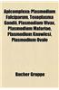 Apicomplexa: Plasmodium Falciparum, Toxoplasma Gondii, Plasmodium Vivax, Plasmodium Malariae, Plasmodium Knowlesi, Plasmodium Ovale