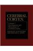 Cerebral Cortex: Development and Maturation of Cerebral Cortex