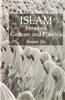 Islam Between Culture and Politics