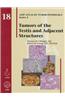 Atlas of Tumor Pathology, 4th Series: Tumors of the Testis and Adjacent Structures