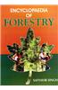 Encyclopaedia of Forestry