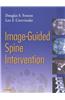 Image-Guided Spine Intervention