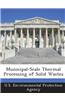 Municipal-Scale Thermal Processing of Solid Wastes