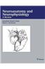 Neuroanatomy and Neurophysiology: A Review