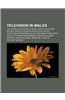 Television in Wales: S4c, Sports Television in Wales, Welsh Television Actors, Welsh Television Executives, Welsh Television Presenters
