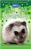 Little Lost Hedgehog