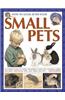 How to Look After Your Small Pets