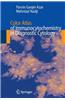 Color Atlas of Immunocytochemistry in Diagnostic Cytology