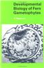 Developmental Biology of Fern Gametophytes