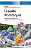 Cascade Biocatalysis Integrating Stereoselective and Environmentally Friendly Reactions
