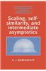 Scaling, Self-Similarity, and Intermediate Asymptotics: Dimensional Analysis and Intermediate Asymptotics