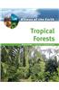Tropical Forests