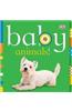 Baby Animals!