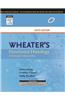Wheater's Functional Histology 6ED
