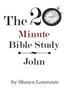 The 20 Minute Bible Study: John
