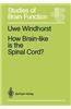 How Brain-Like is the Spinal Cord?