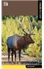 Elk: A Falcon Field Guide