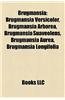 Brugmansia: Brugmansia Versicolor, Brugmansia Arborea, Brugmansia Suaveolens, Brugmansia Aurea, Brugmansia Longifolia
