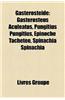 Gastrosteid: Gasterosteus Aculeatus, Pungitius Pungitius, Pinoche Tachete, Spinachia Spinachia