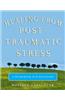 Healing from Post-Traumatic Stress: A Workbook for Recovery
