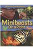 Minibeasts on a Plant