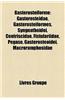 Gastrostiforme: Gasterosteidae, Gasterosteiformes, Syngnathoidei, Centriscidae, Fistulariidae, Pgase, Gasterosteoidei, Macroramphosida