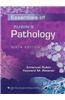 Essentials of Rubin's Pathology