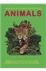 Questions & Answers Encyclopedia:Animals