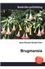 Brugmansia