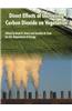 Direct Effects of Increasing Carbon Dioxide on Vegetation