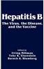 Hepatitis B