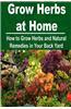 Grow Herbs at Home: How to Grow Herbs and Natural Remedies in Your Back Yard: Grows Herbs, How to Grow Herbs at Home, Herb Gardening, Herb