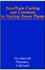 Two-Phase Cooling and Corrosion in Nuclear Power Plants