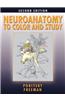 Neuroanatomy to Color and Study